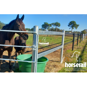 Lisse ovale 3m10 avec...