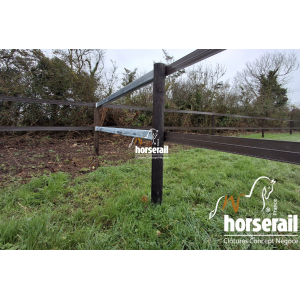 Lisse ovale 3m10 avec...