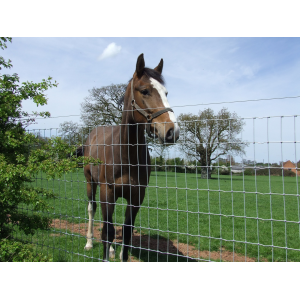 Tornado® Torus R13/120/5 en...